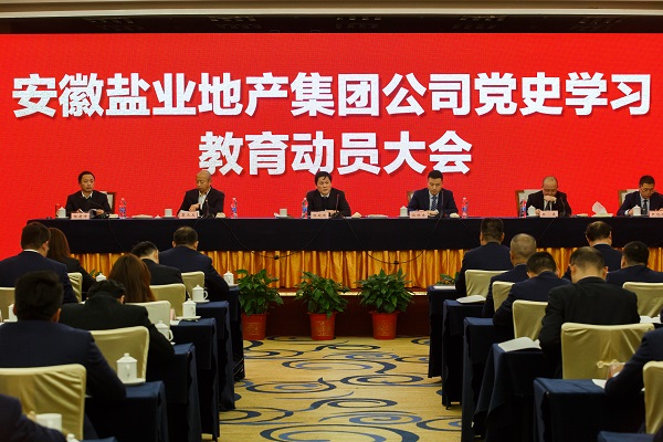 安徽乐盈VI官网地产集团公司召开党史学习教育发动大会