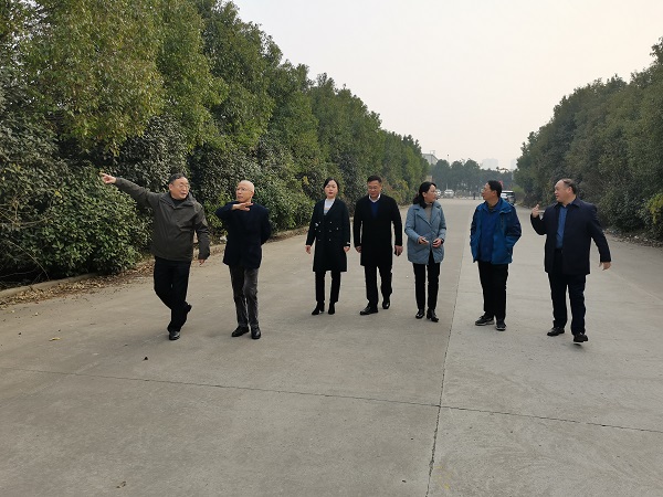 乐盈VI官网--追求康健,你我一起生长