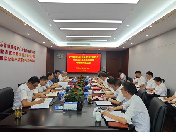 安徽乐盈VI官网地产集团本部第一党支部召开主题教育专题组织生涯会