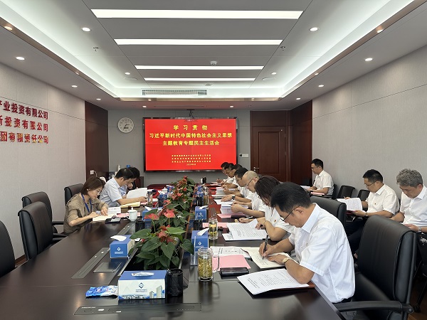 安徽乐盈VI官网地产集团等三家公司党委召开学习贯彻习近平新时代中国特色社会主义头脑主题教育专题民主生涯会