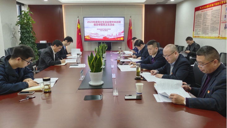 安徽省都会更新投资有限公司